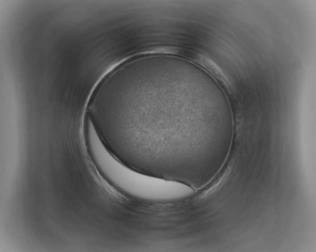 X0000112930892200908241258