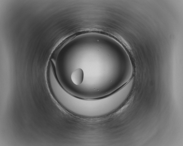 X0000112930893200908241258