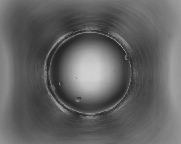 X0000112930894200908241258