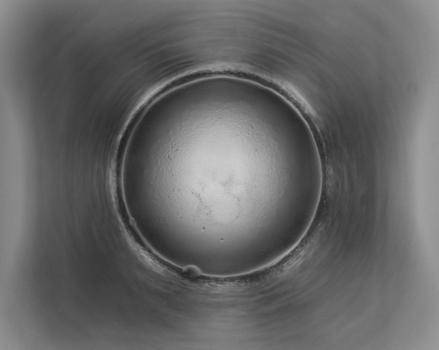 X0000112930895200908241258