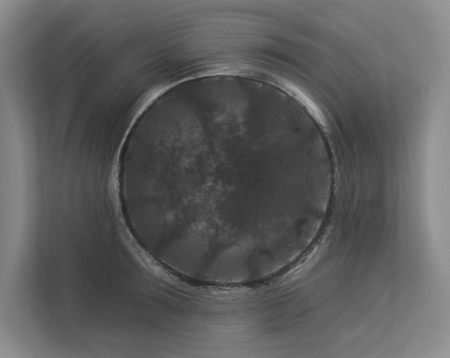 X0000112930899200908241258