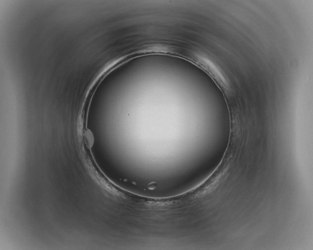 X0000112930900200908241258