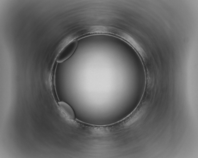 X0000112930901200908241258