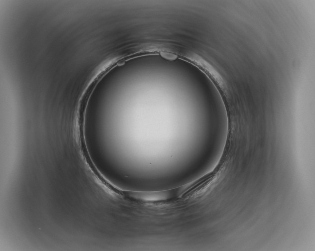 X0000112930902200908241258