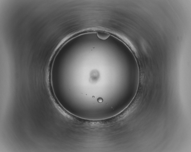 X0000112930903200908241258