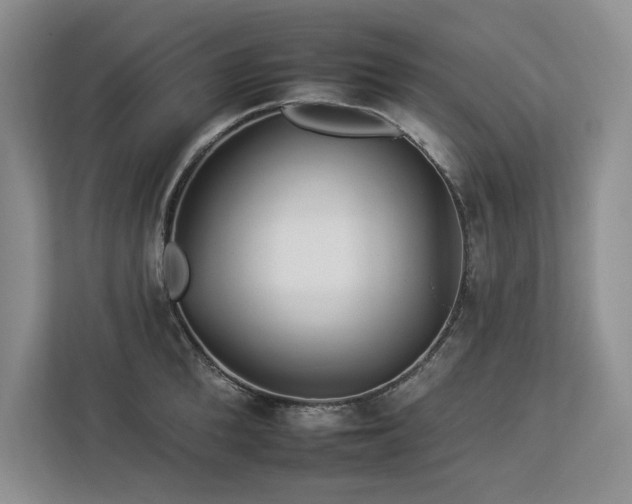 X0000112930904200908241258