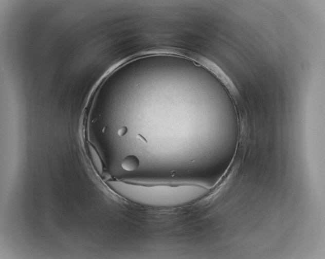 X0000112930908200908241258