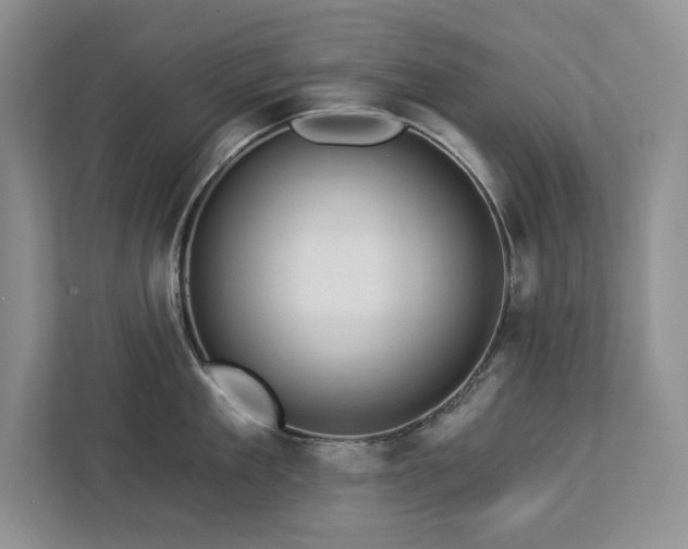 X0000112930909200908241258