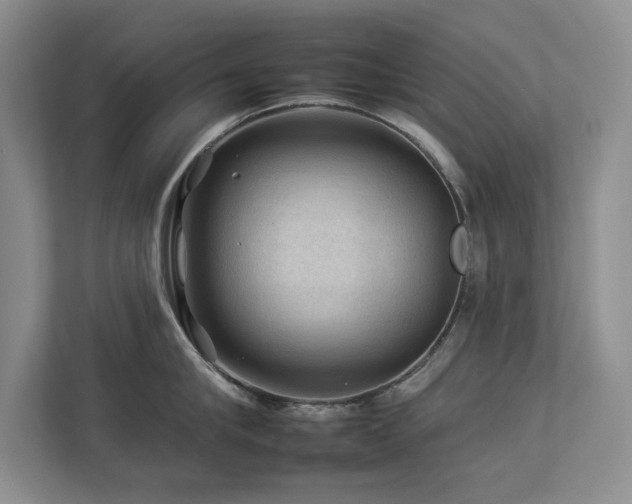 X0000112930910200908241258