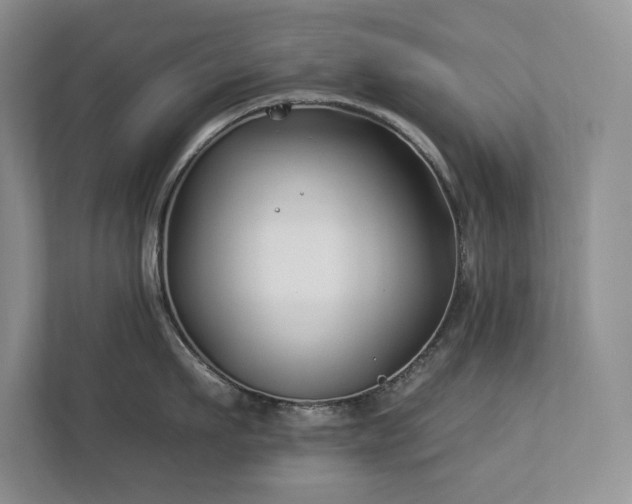 X0000112930911200908241258