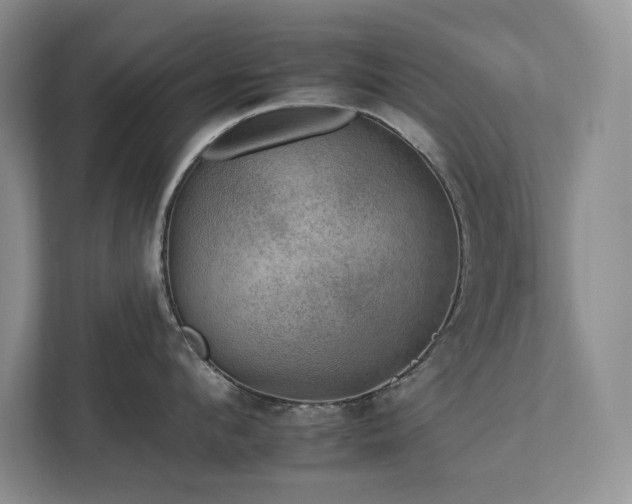 X0000112930912200908241258