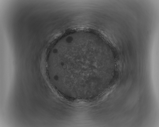 X0000112930913200908241257