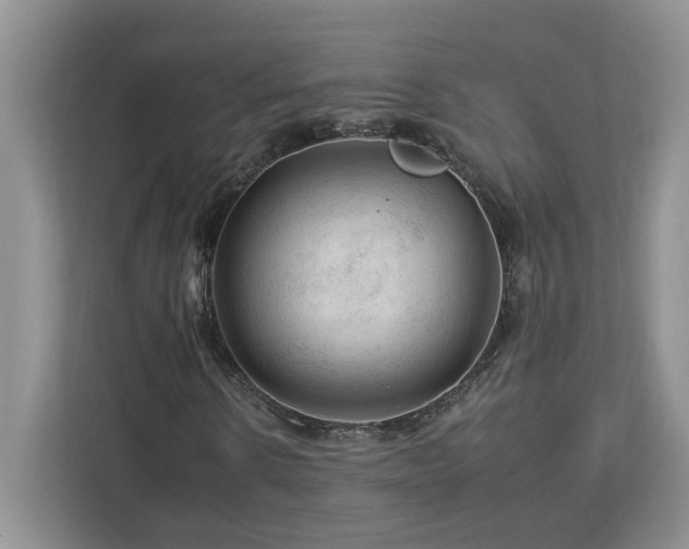 X0000112930914200908241257