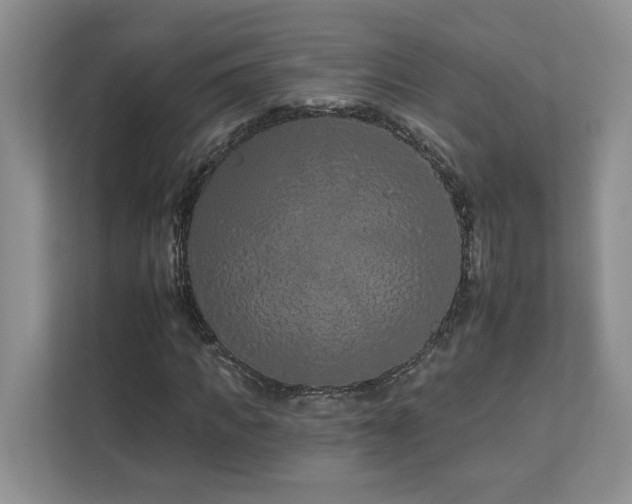 X0000112930917200908241257