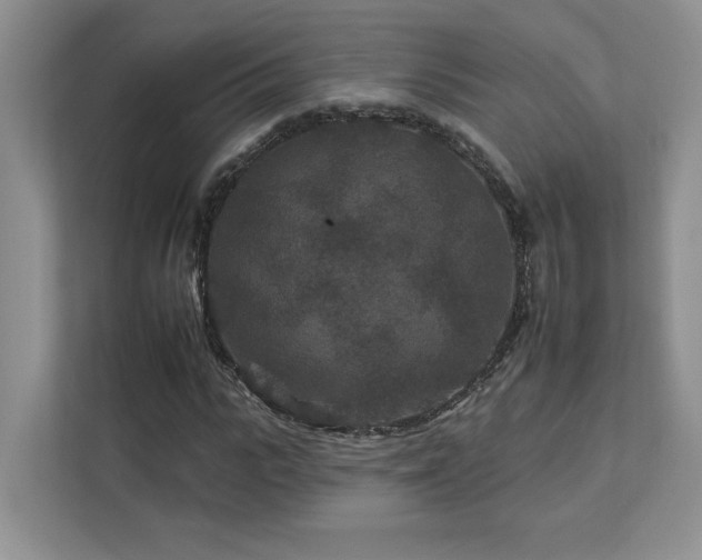 X0000112930919200908241257