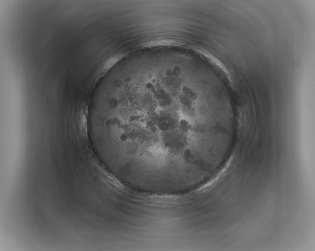 X0000112930921200908241257