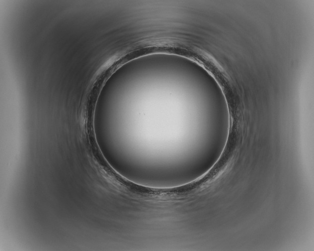 X0000112930922200908241257