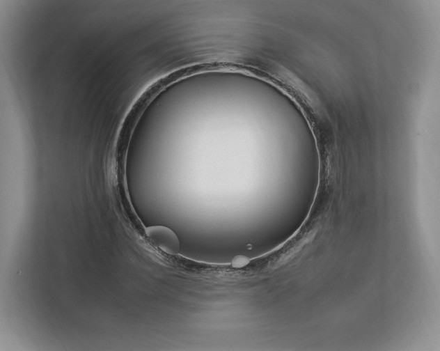 X0000112930924200908241257