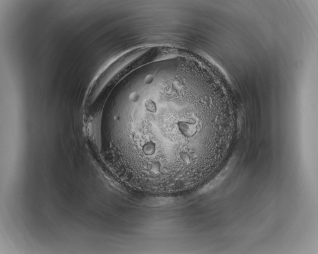 X0000112930925200908241257