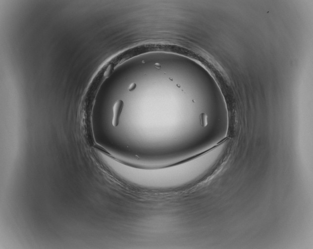 X0000112930926200908241257