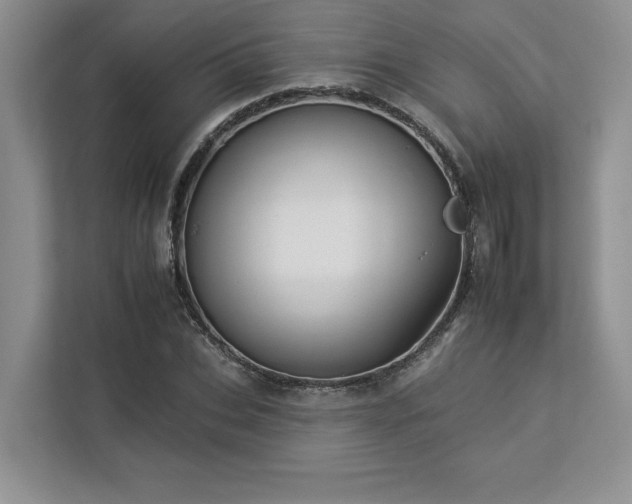 X0000112930927200908241257