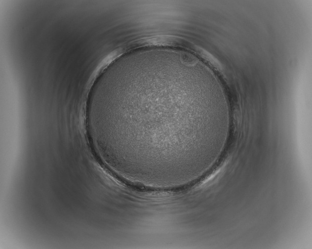 X0000112930930200908241257