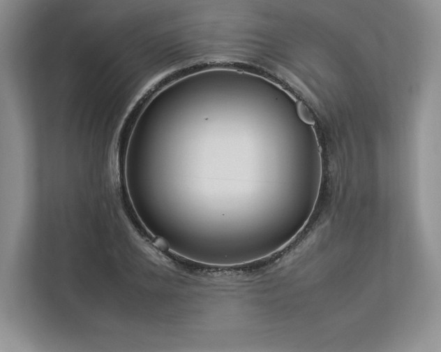 X0000112930934200908241257