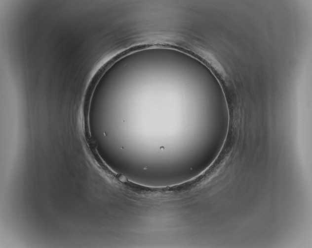 X0000112930936200908241257