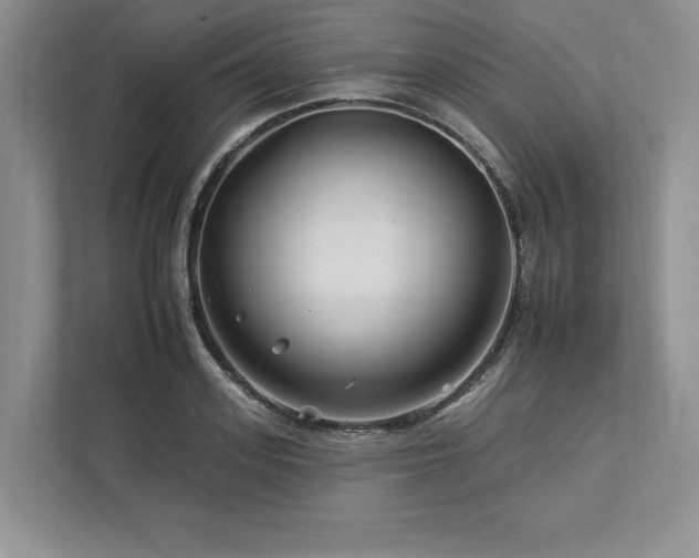 X0000112930939200908241257