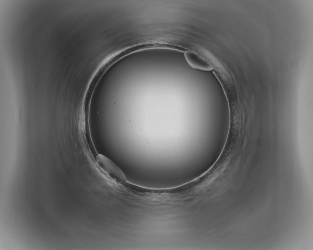 X0000112930940200908241257