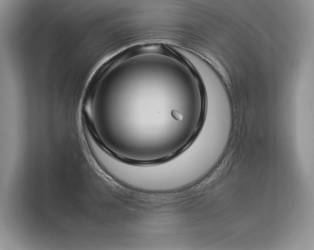 X0000112930944200908241257