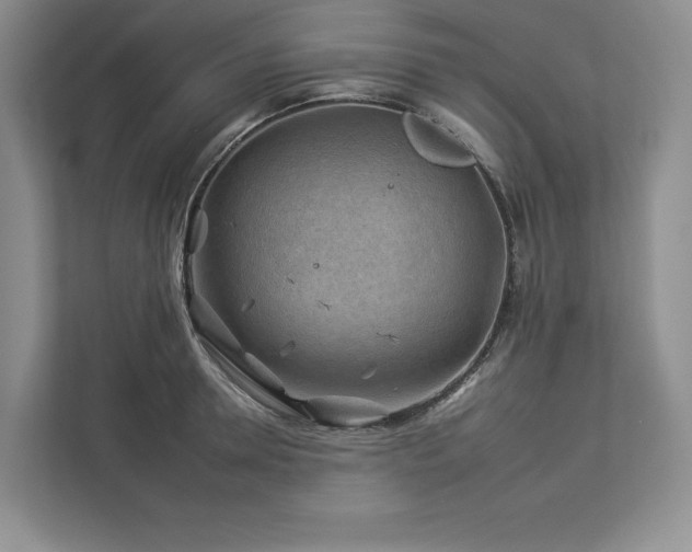 X0000112930946200908241257