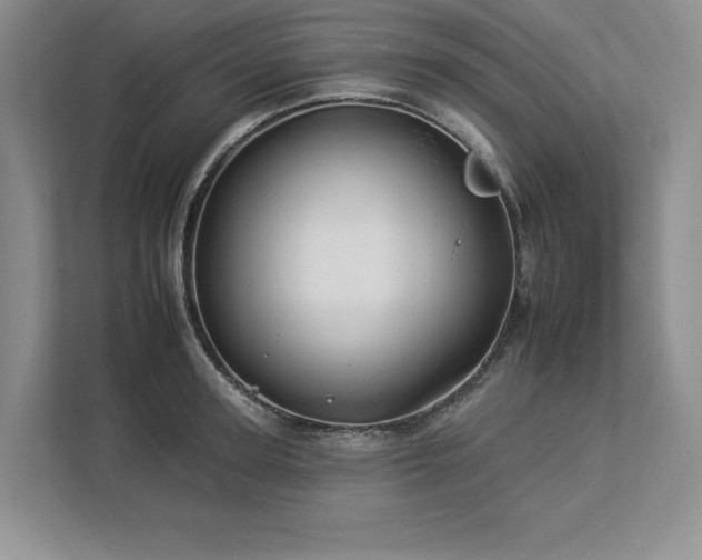 X0000112930947200908241257