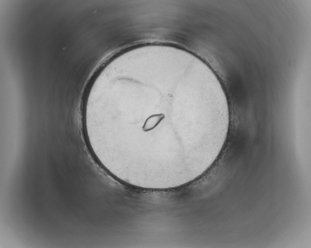 X0000112930950200908241257