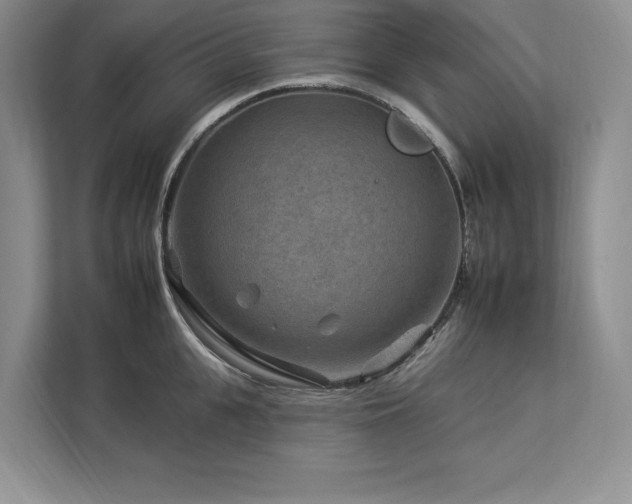 X0000112930951200908241257