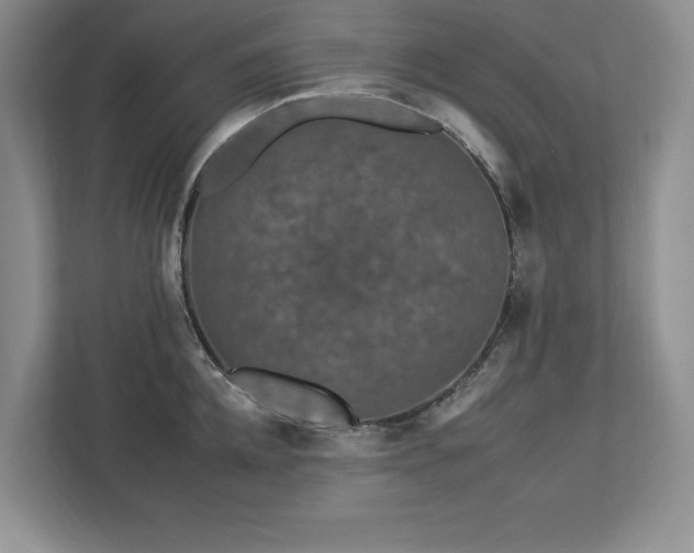 X0000112930952200908241257