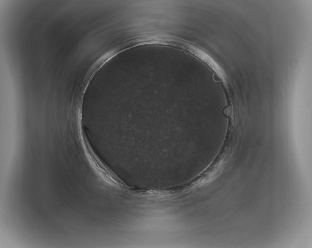 X0000112930954200908241258