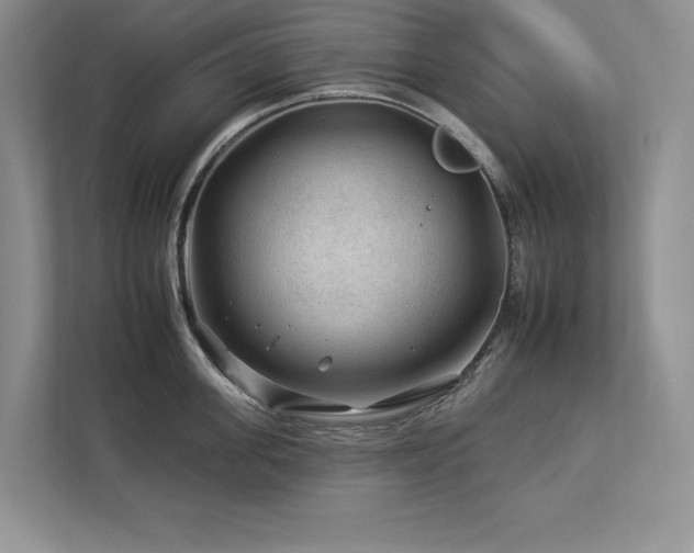 X0000112930955200908241258