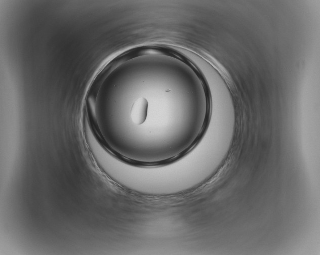 X0000112930956200908241258