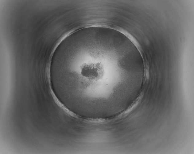 X0000112930957200908241258