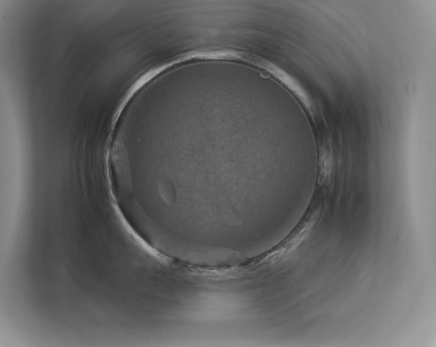 X0000112930959200908241258