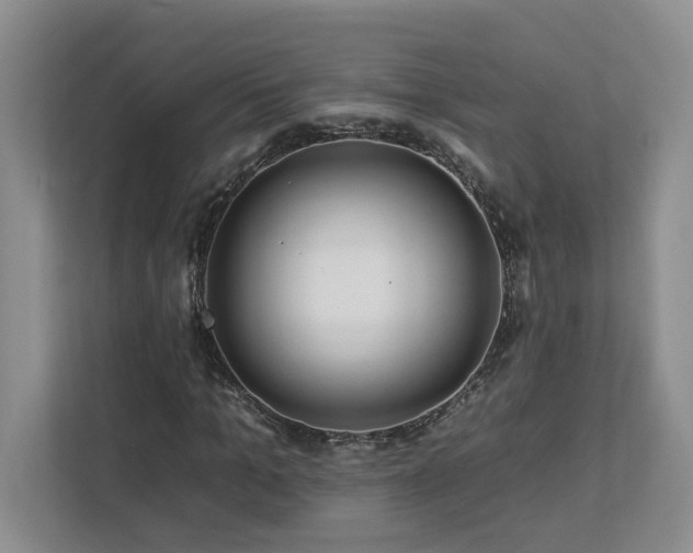 X0000112930965200908241257