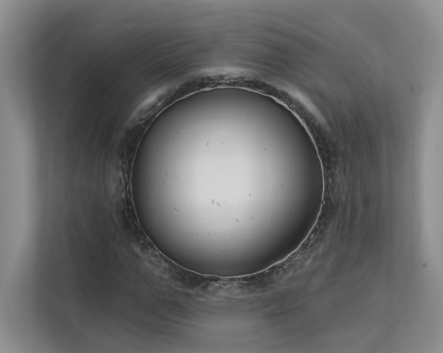 X0000112930967200908241257