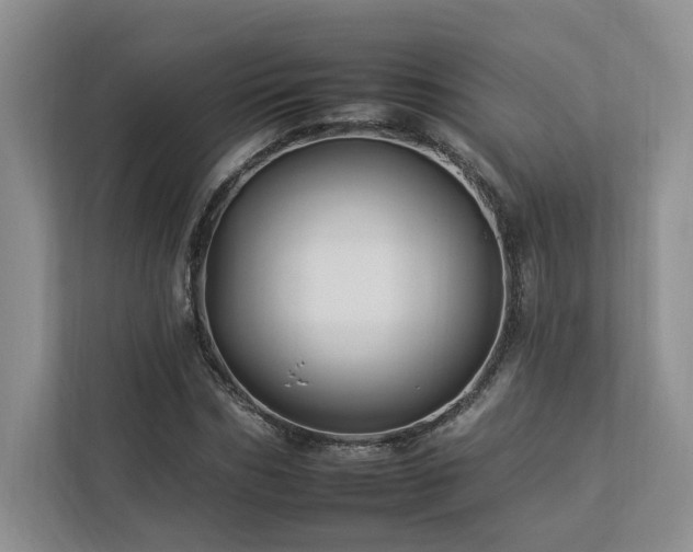 X0000112930970200908241257