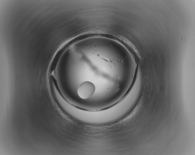 X0000112930981200908241257