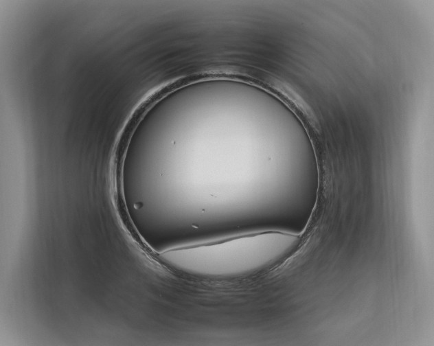 X0000112930984200908241257