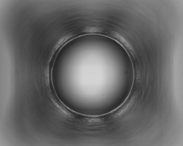 X0000112930986200908241257