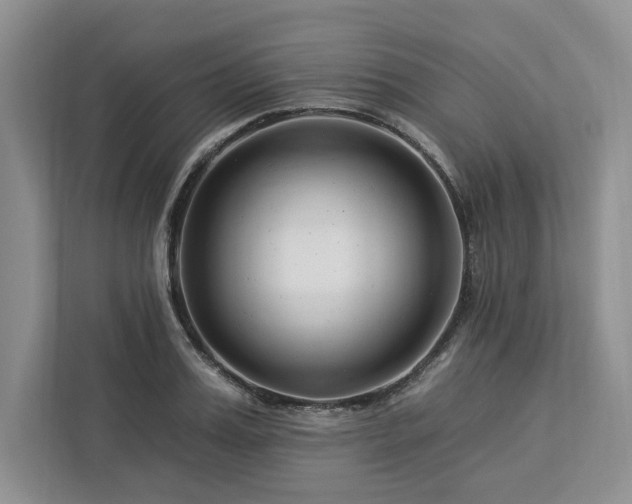 X0000112930987200908241257