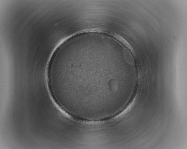 X0000112930989200908241257