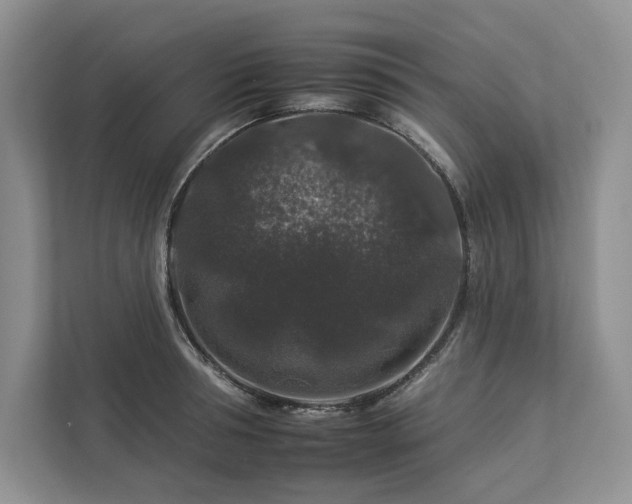 X0000112930994200908241257